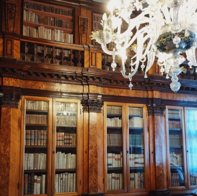 図書室の書棚